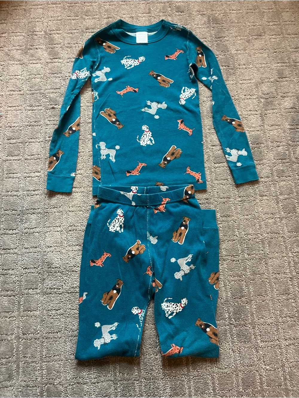Kids Hanna Anderson Teal Dog Print Pajama Set